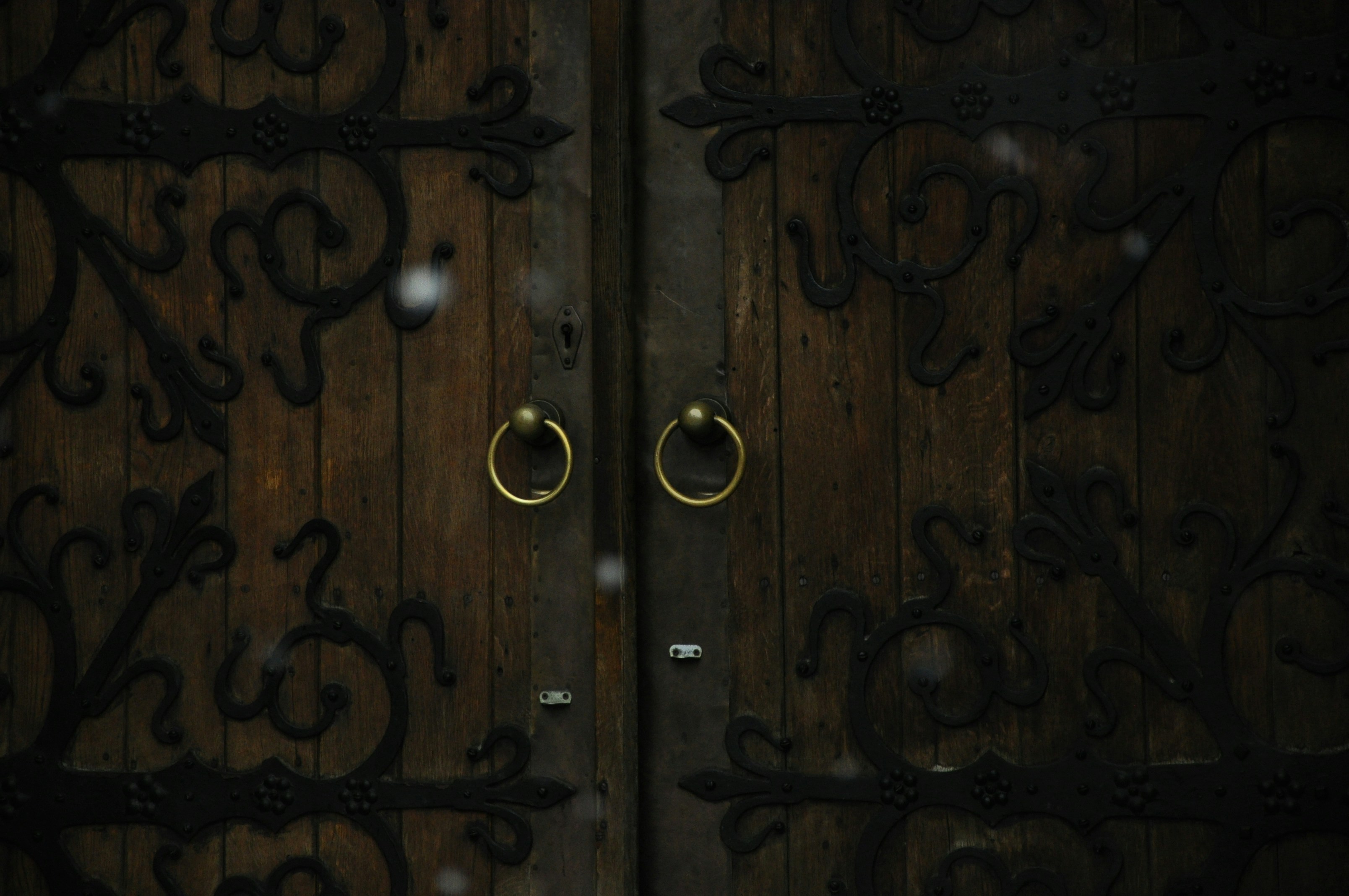 a close up of a door with two rings on it